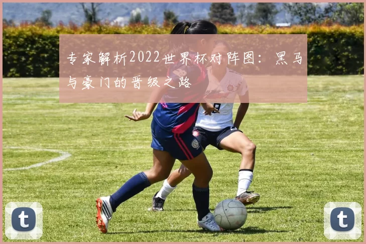 专家解析2022世界杯对阵图:黑马与豪门的晋级之路