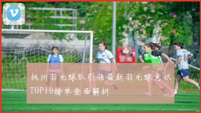 杭州羽毛球队引领最新羽毛球意识TOP10榜单全面解析