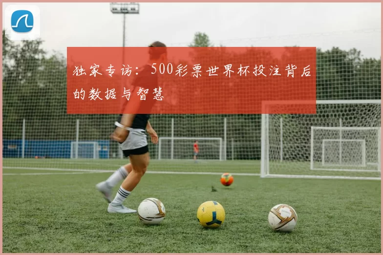 独家专访：500彩票世界杯投注背后的数据与智慧