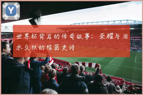 世界杯背后的传奇故事：荣耀与泪水交织的绿茵史诗
