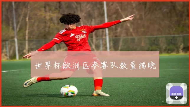 世界杯欧洲区参赛队数量揭晓