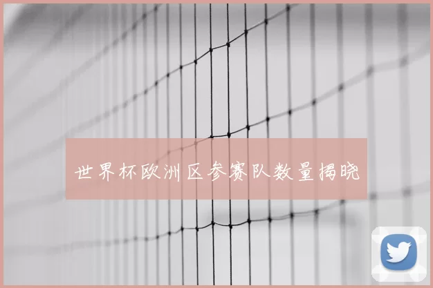 世界杯欧洲区参赛队数量揭晓