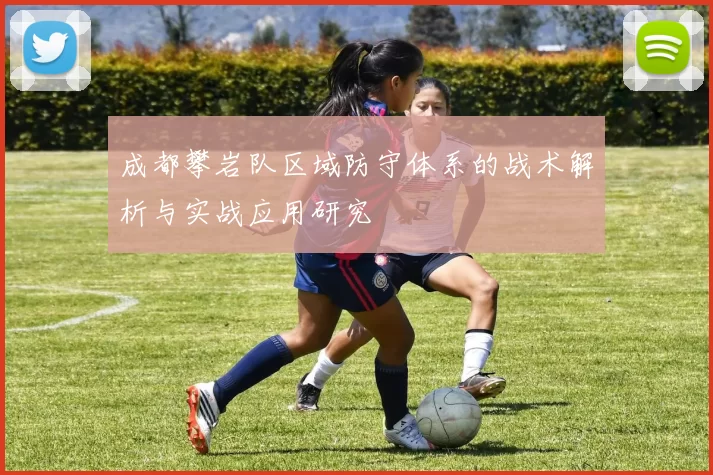 成都攀岩队区域防守体系的战术解析与实战应用研究