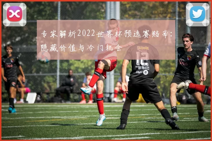 专家解析2022世界杯预选赛赔率：隐藏价值与冷门机会